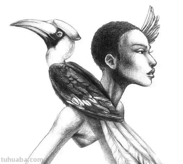 简洁明了｜素描