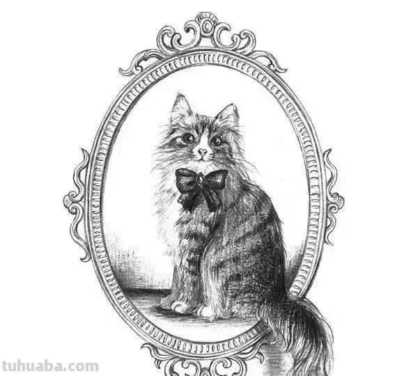 简洁明了｜素描