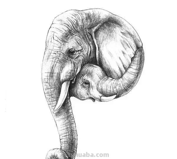 简洁明了｜素描