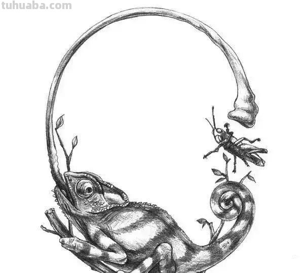 简洁明了｜素描