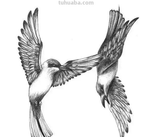 简洁明了｜素描