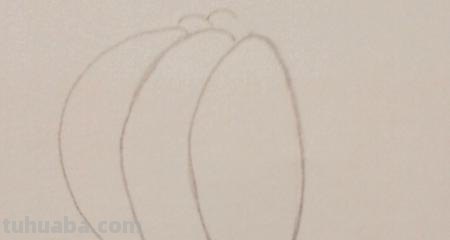 教你怎么画彩铅画（教你怎么画彩铅画图片）