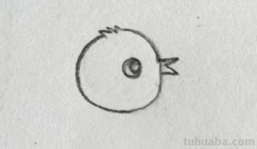 小鸡怎么画简笔画（小鸡怎么画简笔画图片）