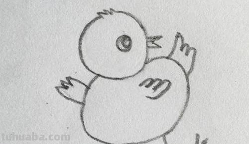 小鸡怎么画简笔画（小鸡怎么画简笔画图片）