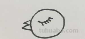 小鸡怎么画简笔画（小鸡怎么画简笔画图片）