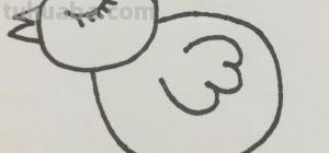 小鸡怎么画简笔画（小鸡怎么画简笔画图片）