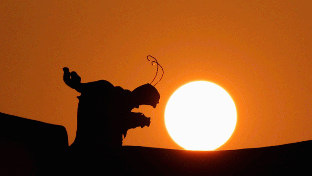 摄影新手必学的6个技巧,拍出生活的另一种美! 摄影新手必学的6个技巧,拍出生活的另一种美!