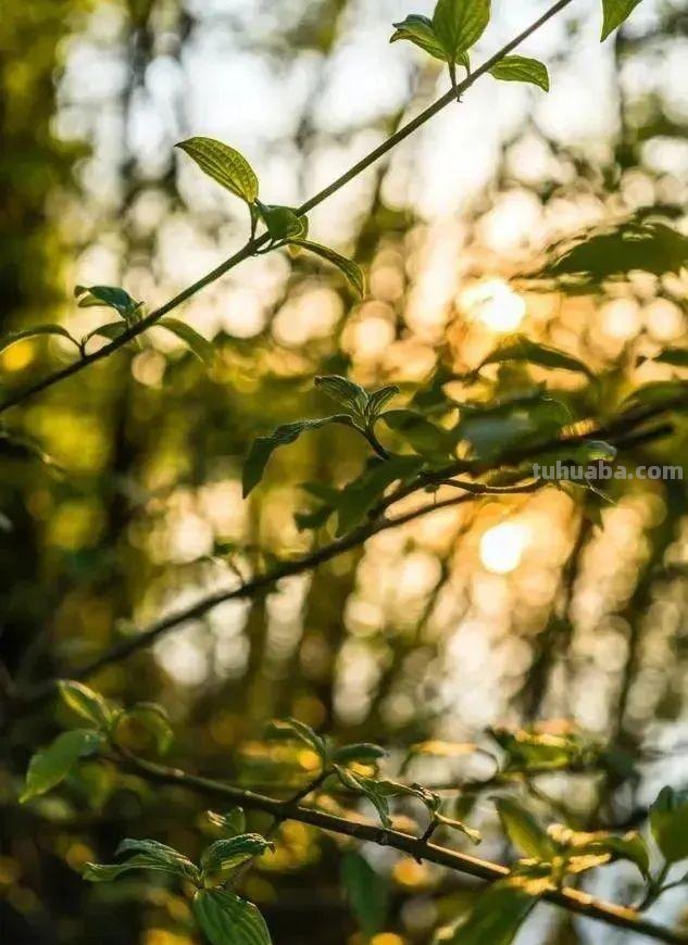 摄影新手必学的6个技巧,拍出生活的另一种美! 摄影新手必学的6个技巧,拍出生活的另一种美!