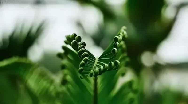 摄影新手必学的6个技巧,拍出生活的另一种美! 摄影新手必学的6个技巧,拍出生活的另一种美!