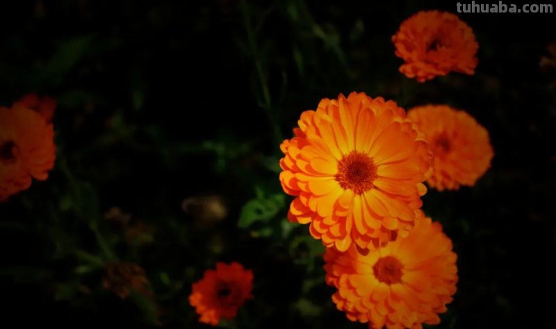 摄影新手必学的6个技巧,拍出生活的另一种美! 摄影新手必学的6个技巧,拍出生活的另一种美!