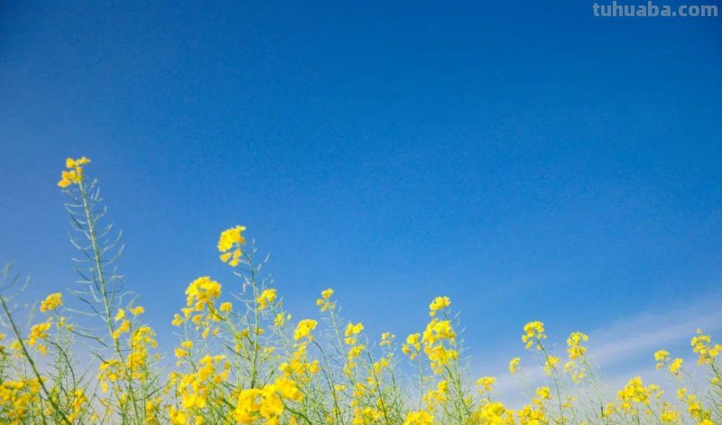 摄影新手必学的6个技巧,拍出生活的另一种美! 摄影新手必学的6个技巧,拍出生活的另一种美!