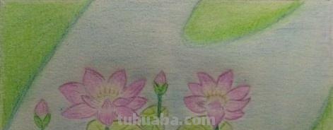 彩铅素描怎么画（彩铅素描怎么画?）