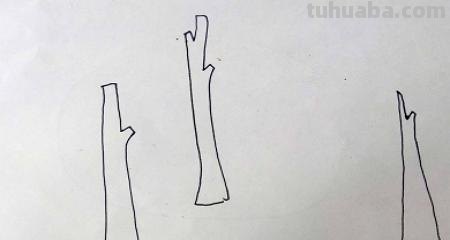 简笔画大树怎么画（简笔画大树怎么画漂亮）