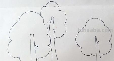 简笔画大树怎么画（简笔画大树怎么画漂亮）