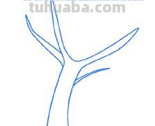 简笔画大树怎么画（简笔画大树怎么画漂亮）