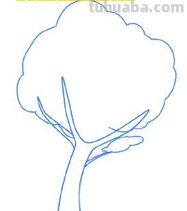 简笔画大树怎么画（简笔画大树怎么画漂亮）