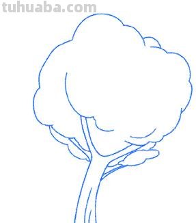 简笔画大树怎么画（简笔画大树怎么画漂亮）