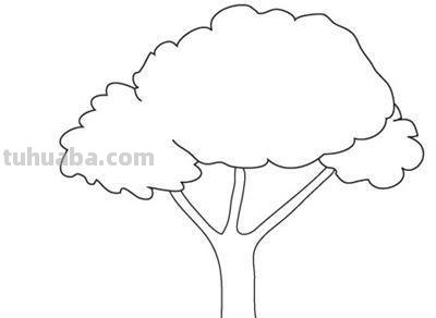 简笔画大树怎么画（简笔画大树怎么画漂亮）