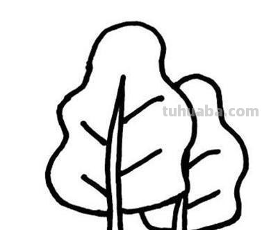 简笔画大树怎么画（简笔画大树怎么画漂亮）