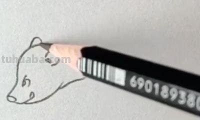 熊的简笔画怎么画（仔仔熊的简笔画怎么画）