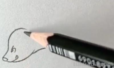 熊的简笔画怎么画（仔仔熊的简笔画怎么画）