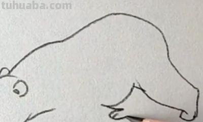 熊的简笔画怎么画（仔仔熊的简笔画怎么画）