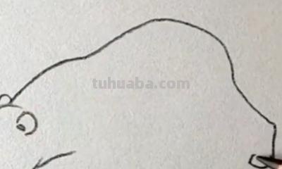 熊的简笔画怎么画（仔仔熊的简笔画怎么画）