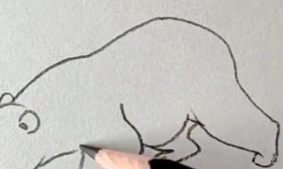 熊的简笔画怎么画（仔仔熊的简笔画怎么画）