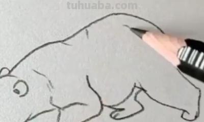 熊的简笔画怎么画（仔仔熊的简笔画怎么画）