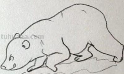 熊的简笔画怎么画（仔仔熊的简笔画怎么画）