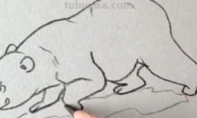 熊的简笔画怎么画（仔仔熊的简笔画怎么画）