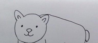 熊的简笔画怎么画（仔仔熊的简笔画怎么画）
