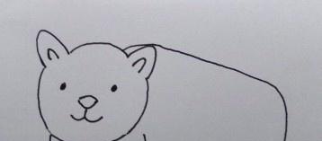 熊的简笔画怎么画（仔仔熊的简笔画怎么画）