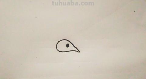 怎么画彩铅孔雀（怎么画彩铅孔雀图片）