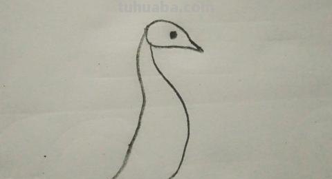 怎么画彩铅孔雀（怎么画彩铅孔雀图片）