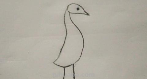 怎么画彩铅孔雀（怎么画彩铅孔雀图片）