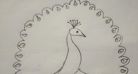 怎么画彩铅孔雀（怎么画彩铅孔雀图片）
