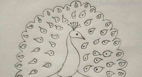 怎么画彩铅孔雀（怎么画彩铅孔雀图片）