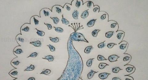 怎么画彩铅孔雀（怎么画彩铅孔雀图片）
