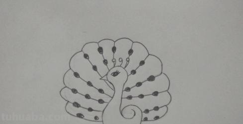怎么画彩铅孔雀（怎么画彩铅孔雀图片）