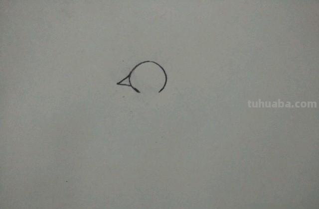 怎么画彩铅孔雀（怎么画彩铅孔雀图片）