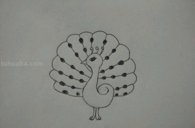 怎么画彩铅孔雀（怎么画彩铅孔雀图片）