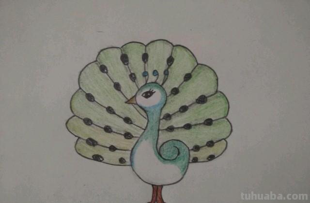 怎么画彩铅孔雀（怎么画彩铅孔雀图片）