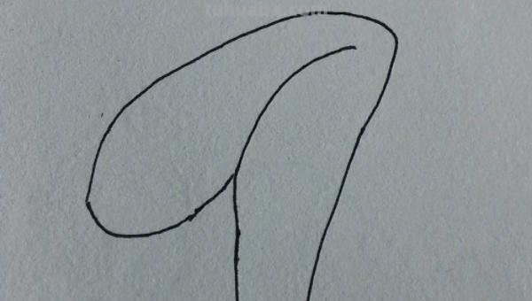 腿怎么画简笔画（腿怎么画简笔画图片）