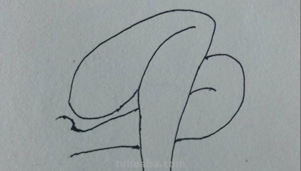 腿怎么画简笔画（腿怎么画简笔画图片）