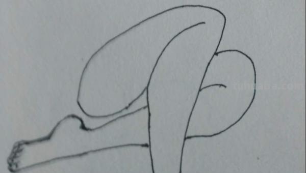 腿怎么画简笔画（腿怎么画简笔画图片）