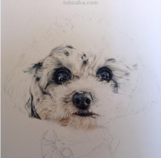 怎么画彩铅素描(怎么画彩铅素描小猫) 怎么画彩铅素描(怎么画彩铅素描小猫)