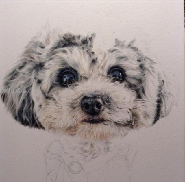 怎么画彩铅素描(怎么画彩铅素描小猫) 怎么画彩铅素描(怎么画彩铅素描小猫)