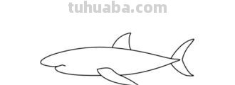 鲨鱼怎么画简笔画（鲨鱼怎么画简笔画图片）
