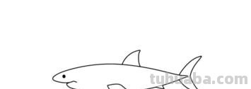 鲨鱼怎么画简笔画（鲨鱼怎么画简笔画图片）